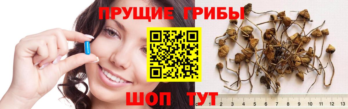 Заречный  Псилоцибиновые грибы мухоморы  Вход с VPN 