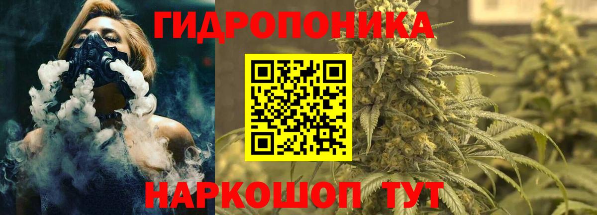 Каннабис Amnesia Заречный